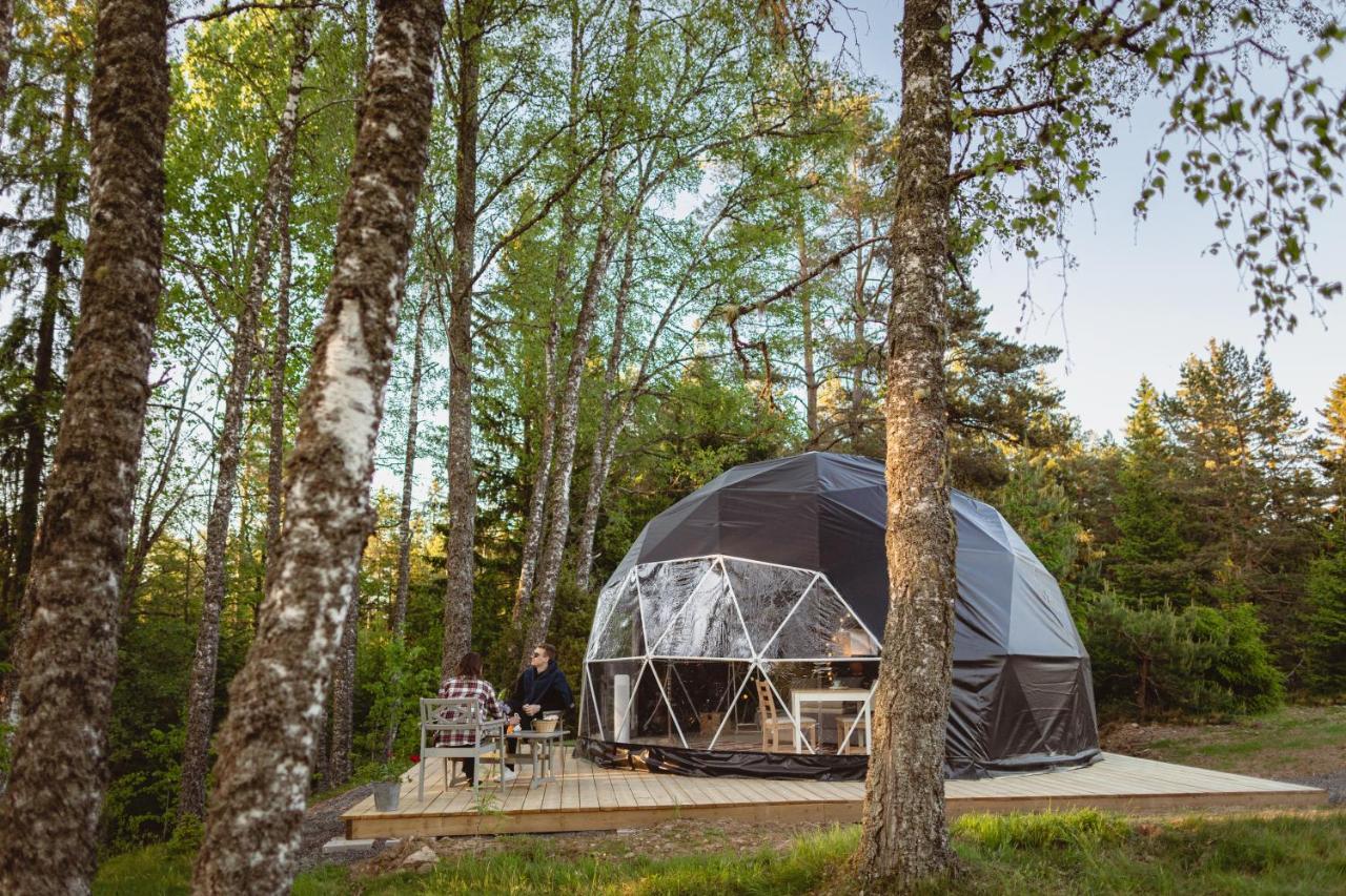 فندق Glamping Julared Mullsjö المظهر الخارجي الصورة